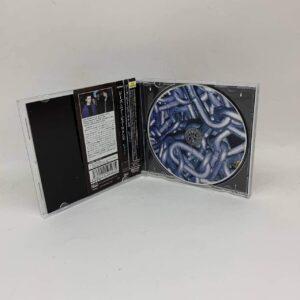 These New Puritans – Hidden