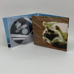 Caves – Homeward Bound