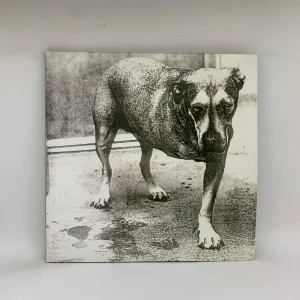 Alice In Chains – Alice In Chains